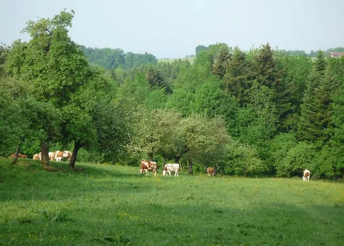 Ringerhof *