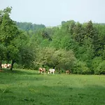 Ringerhof *