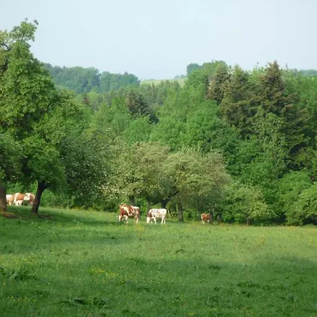 Ringerhof *